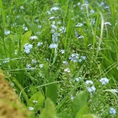 Landleben By Interhome Hébergement de vacances Fritzlar