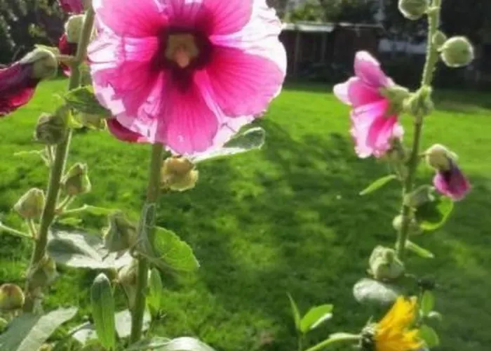 Landleben By Interhome