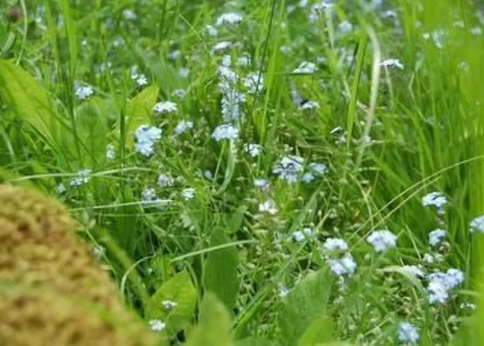 Landleben By Interhome Hébergement de vacances Fritzlar